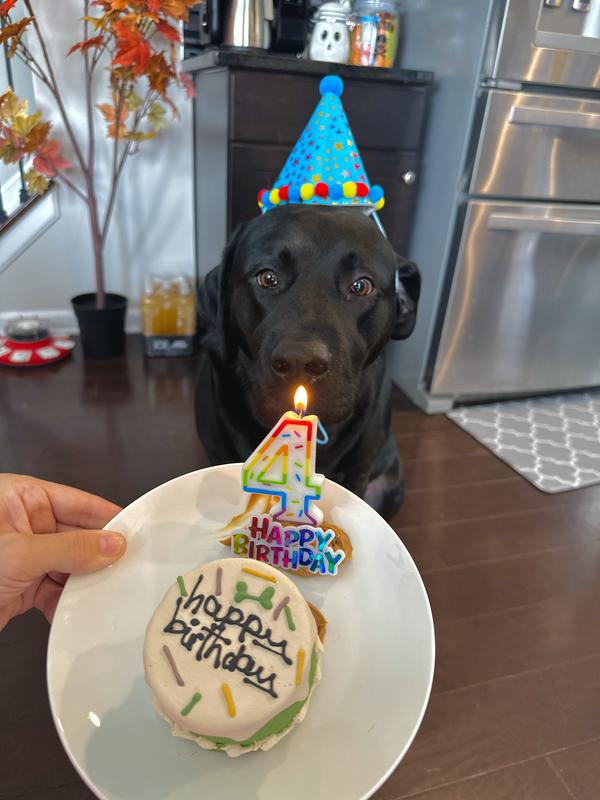 Super cute, hard as a rock!