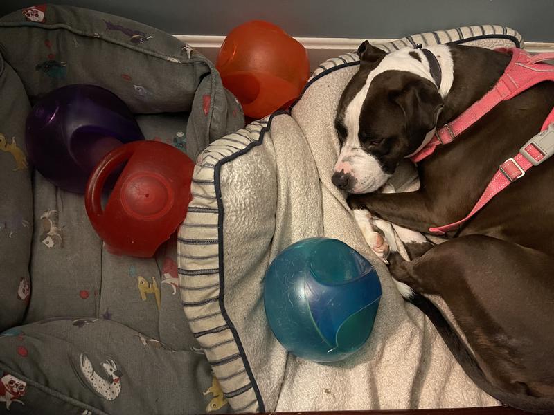 She can never collect enough!