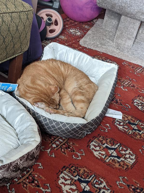 Gus taking his ease