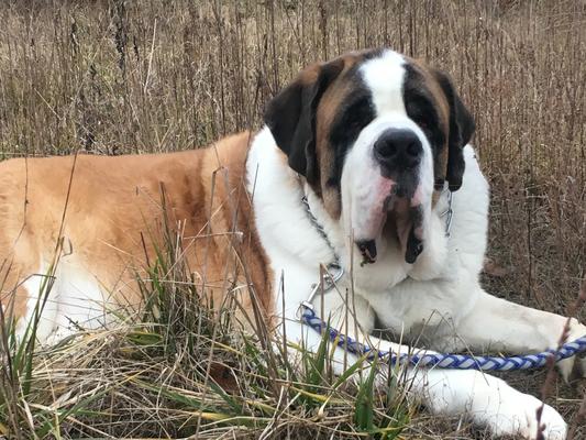 Born with Severe Hip Dysplasia