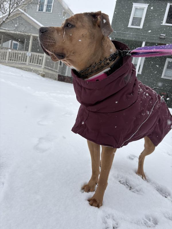 Everything we need..!!