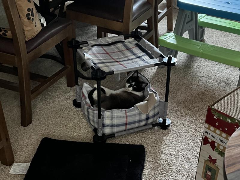 Kitty City Claw Indoor Mega Kit Cat Furniture Cat Bed, Gray, Medium