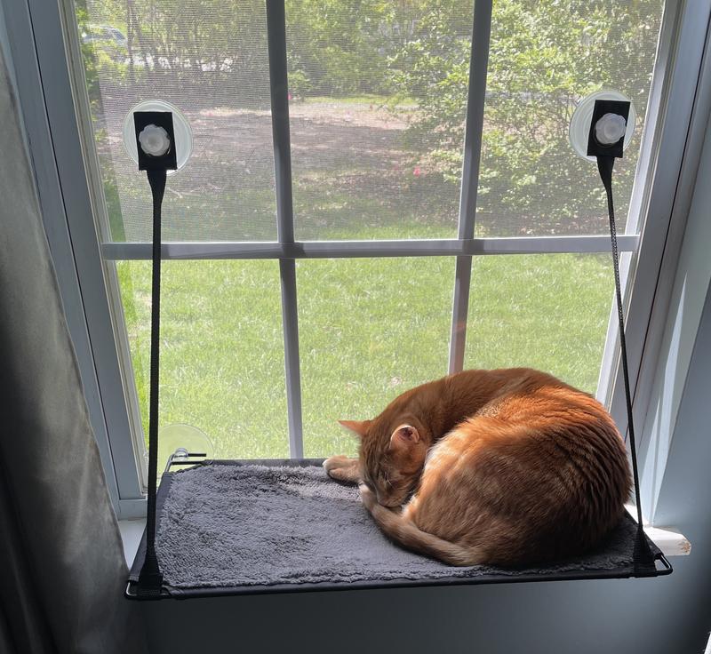 K&H PET PRODUCTS EZ Mount Cat Window Perch, Gray