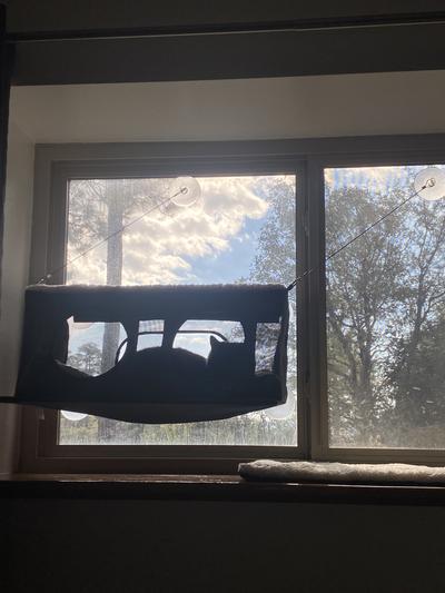 My window was too small for straight above suctions, no problem!