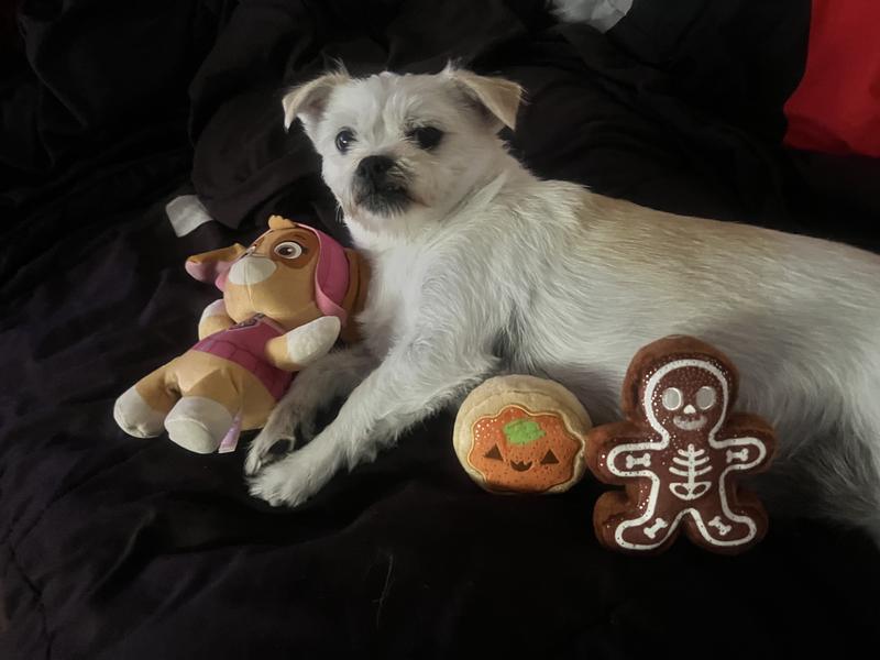 Relaxing after her snack