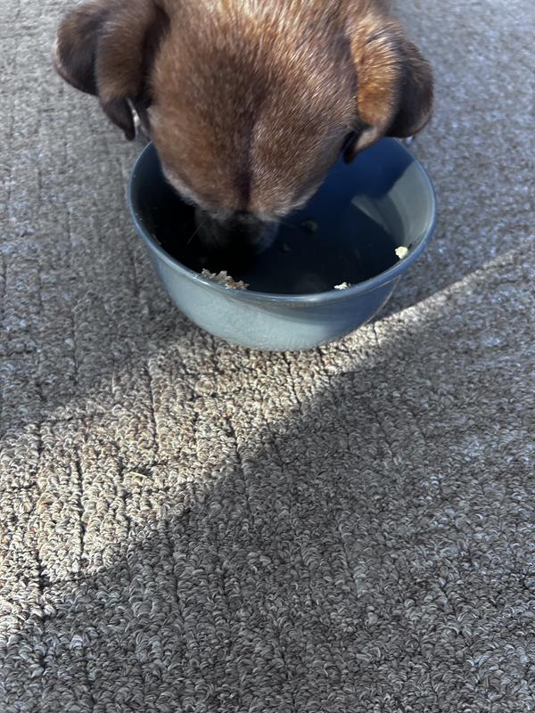 Always an empty bowl