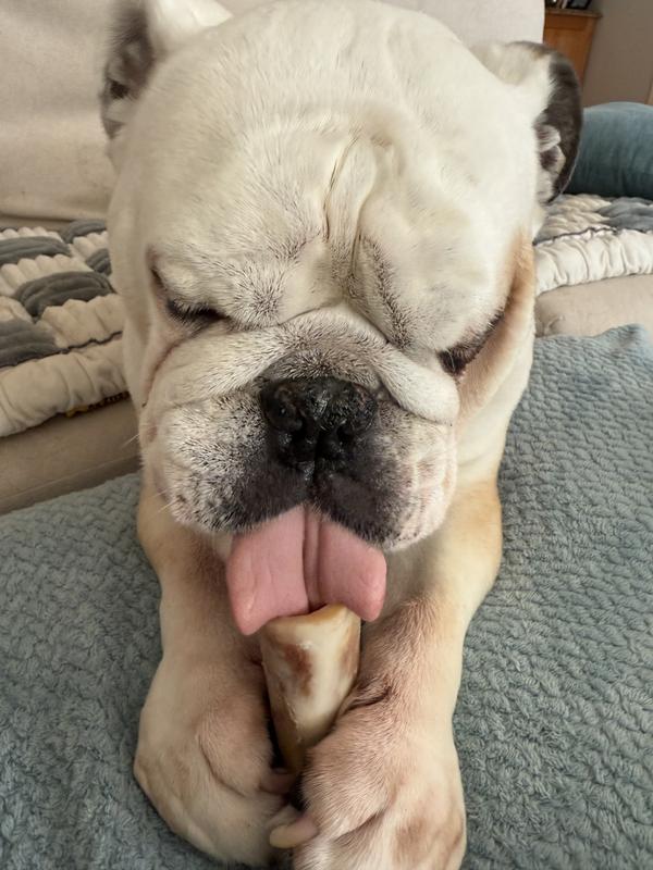 A must have in my house