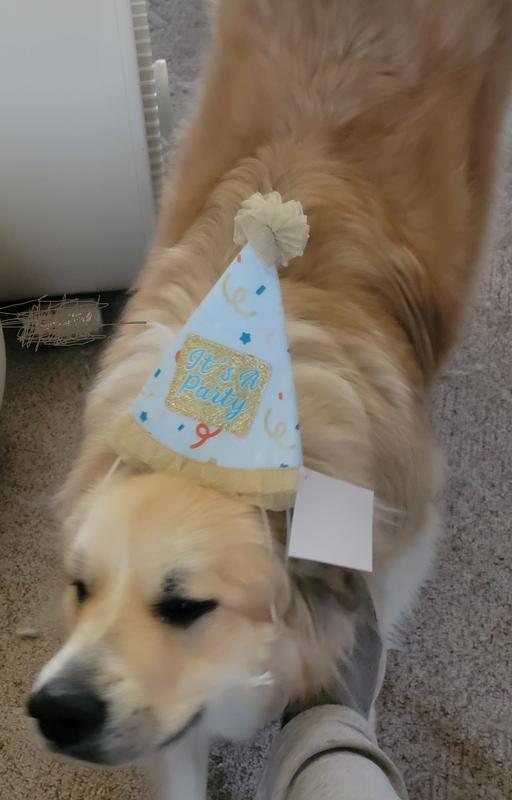 I tried to get her to raise her head for the picture