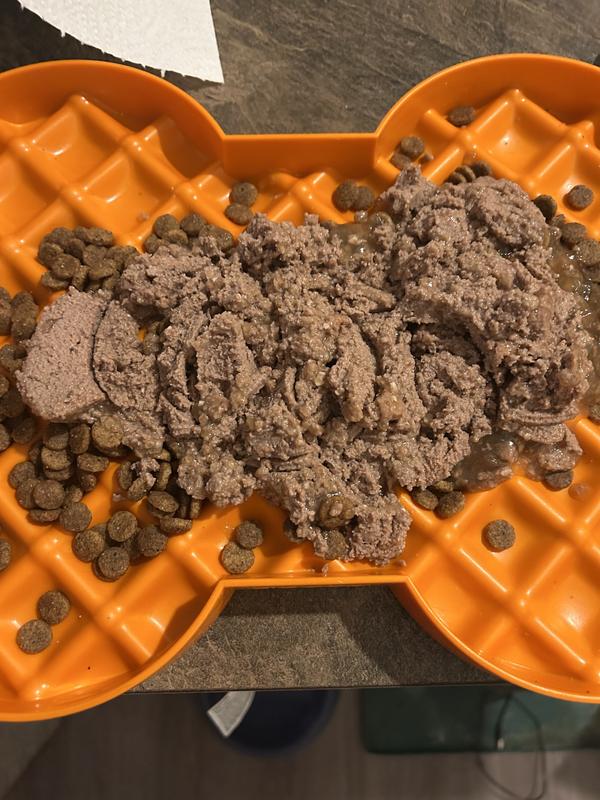 I added it on top of kibble