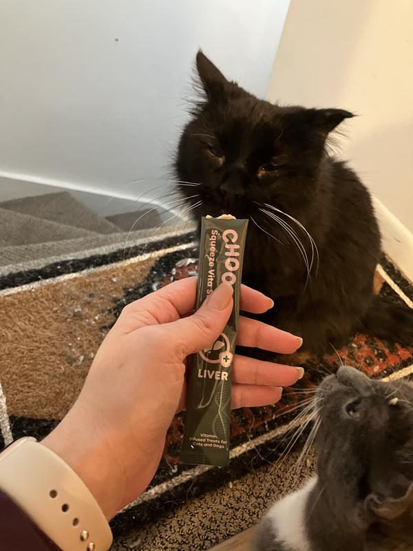 My 14 year old cat loves her Choolip