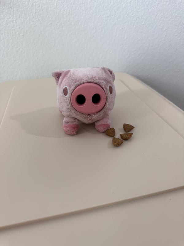 Pig Squeaker Toy | Five Below