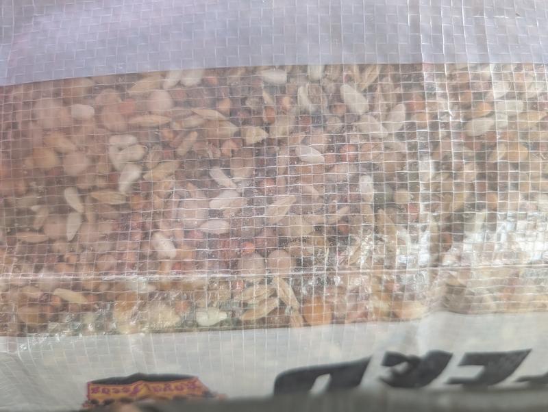 View of seed