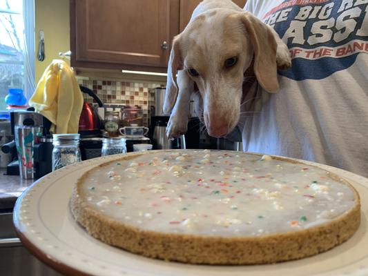 Petsmart dog cake clearance mix