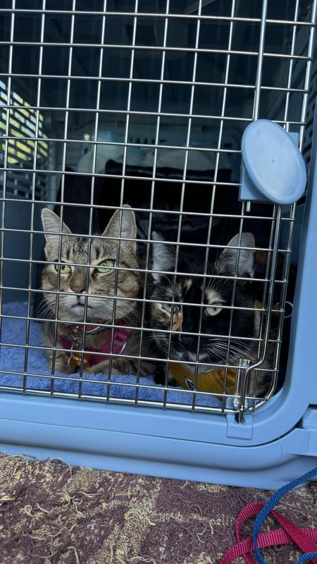 Already planning a “Shawshank Redemption”