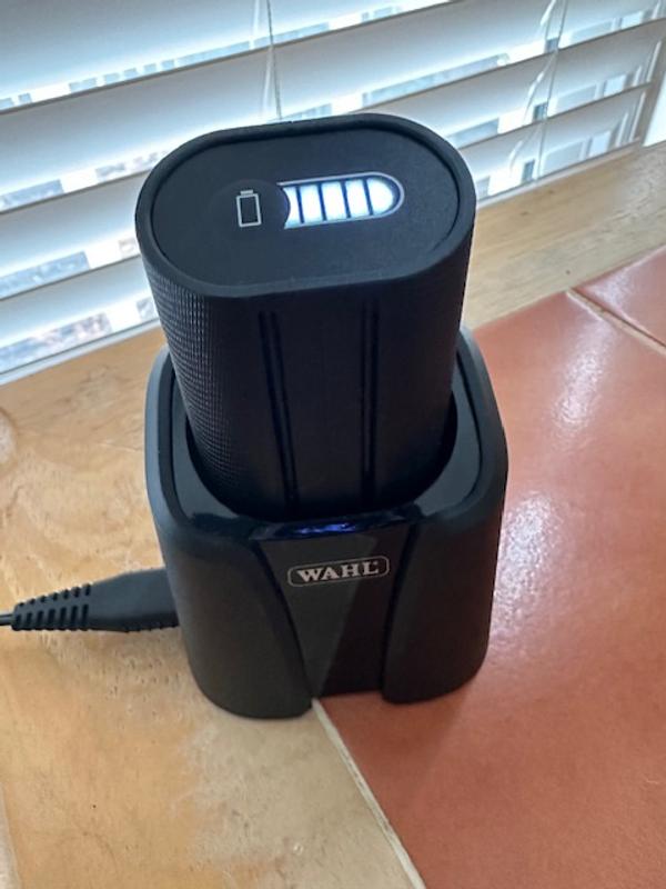 Battery charger with battery installed for charging.