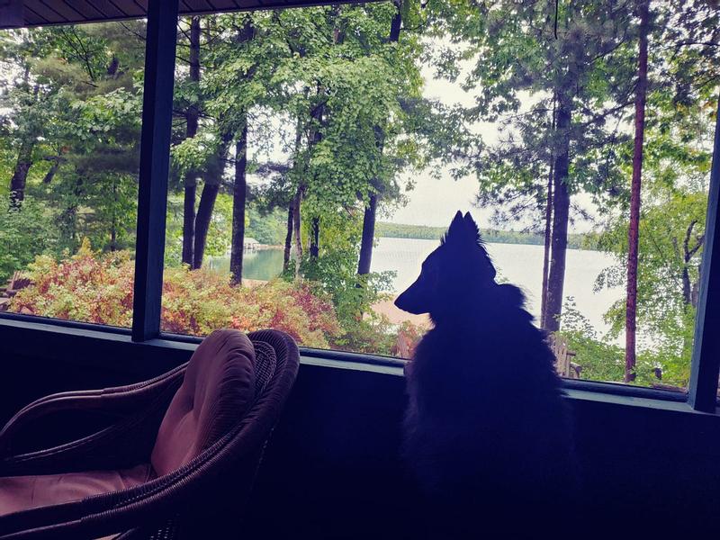 Enjoying our week at the cottage