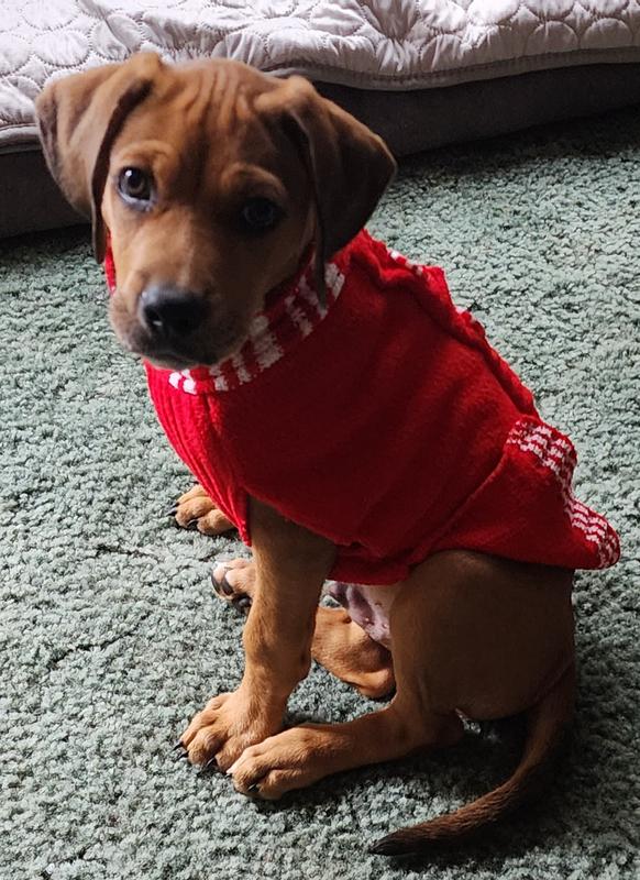 Randy says Thank you!