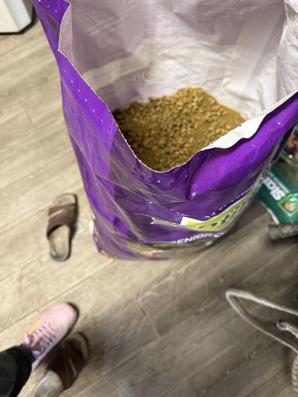 The food is only dust