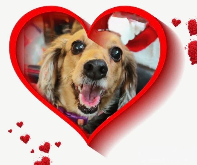 The "BEST" girl in the world!❣️