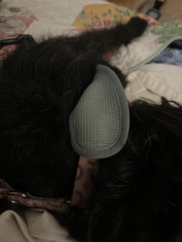 That is the underside of the part meant to protect the harness from rubbing.