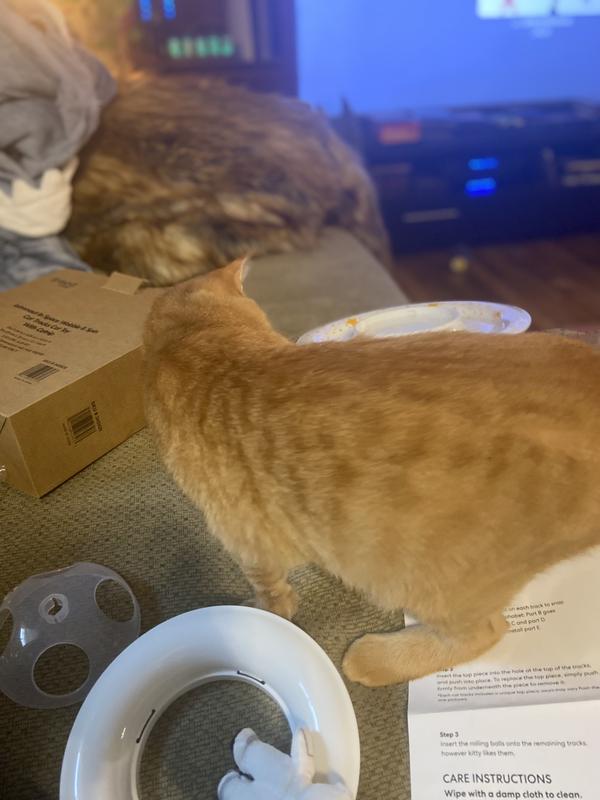 Supervisor Dash oversees the assembly process.