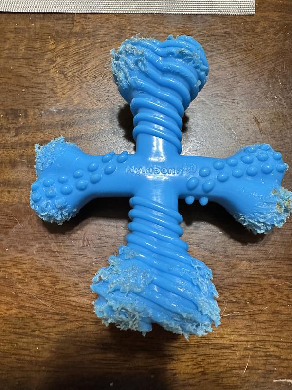 Purchased March 18, 2025