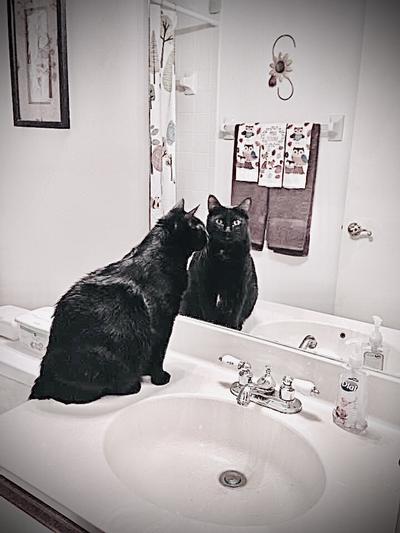 Salem Halloween pose