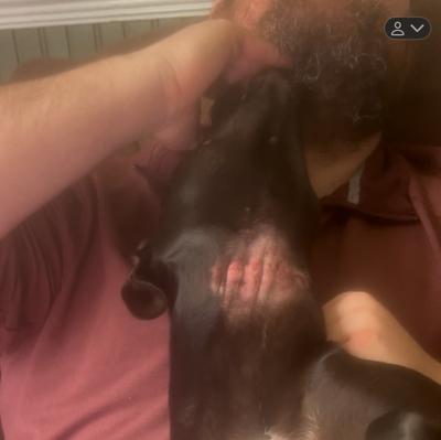 My baby's fried neck. in person, it looked like ground