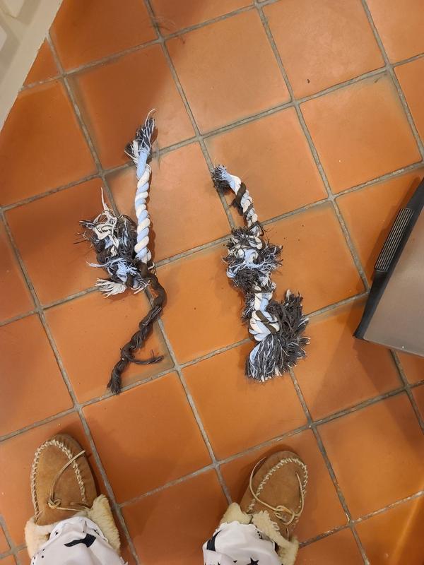 Destroyed in less than 1 week.