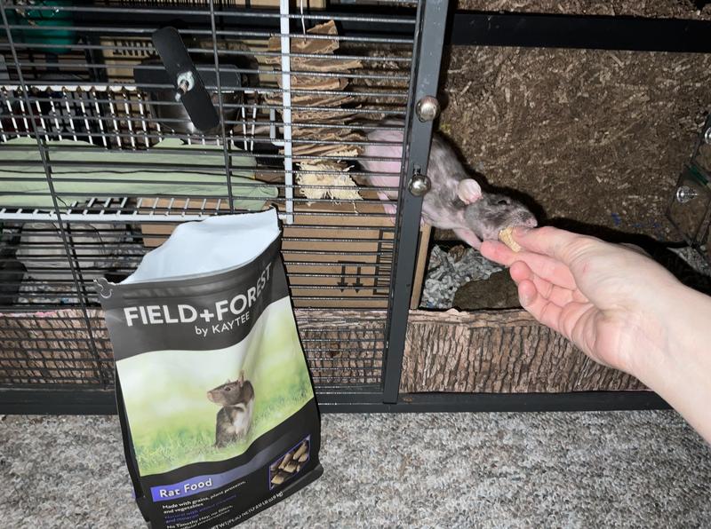 FIELD+FOREST BY KAYTEE Rat Food, 2lb bag