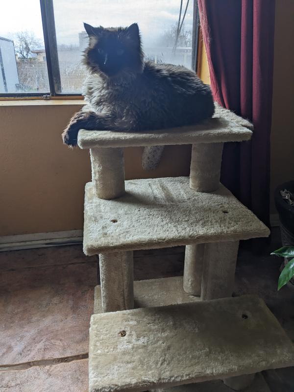 FURHAVEN Steady Paws Cat & Dog Stairs, Gray, 3Step