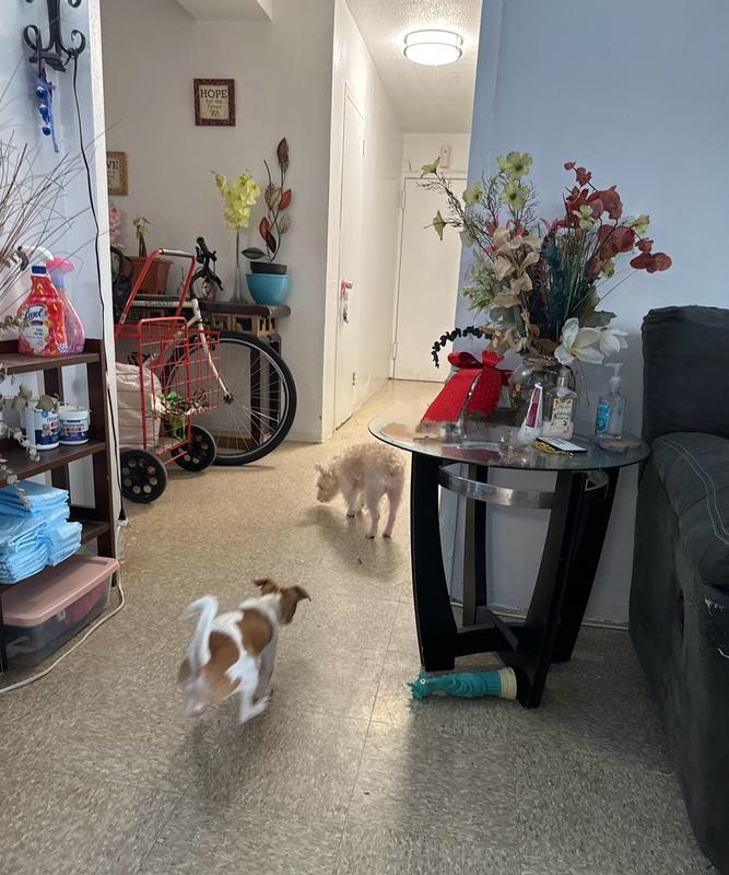 Throwing the pieces one by one