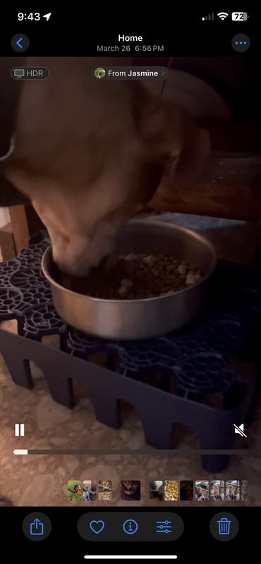 Remmie trying it for the first time