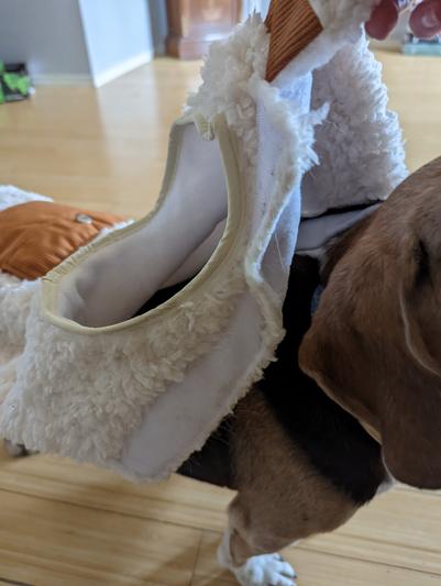 Velcro at the bottom for ease of wear