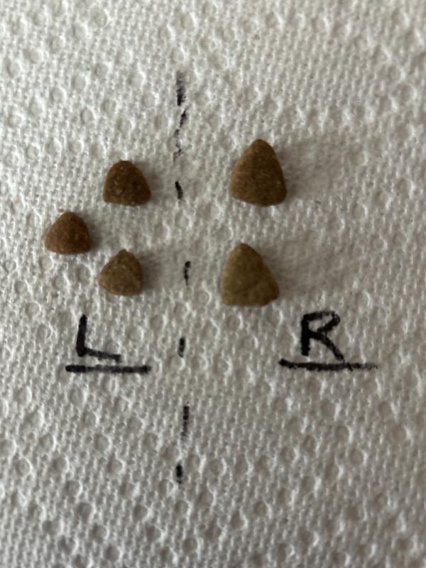 L- adult kibble…… R- Senior kibble