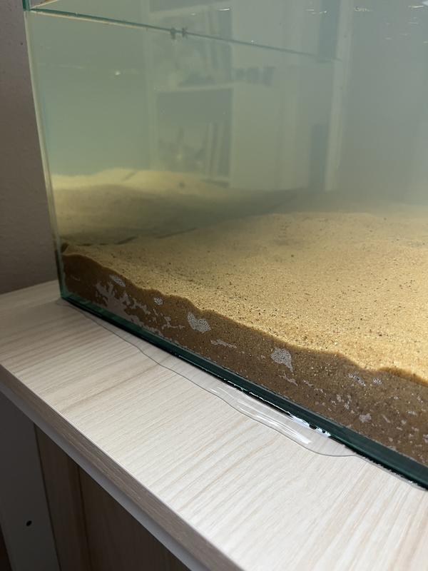 3 seconds after I cleaned up all the water on the stand/floor