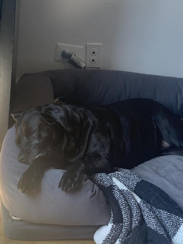 She loves the bolsters and the cozy foam for her achey joints.