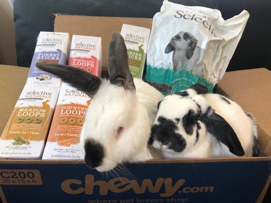 Buns & Hamilton