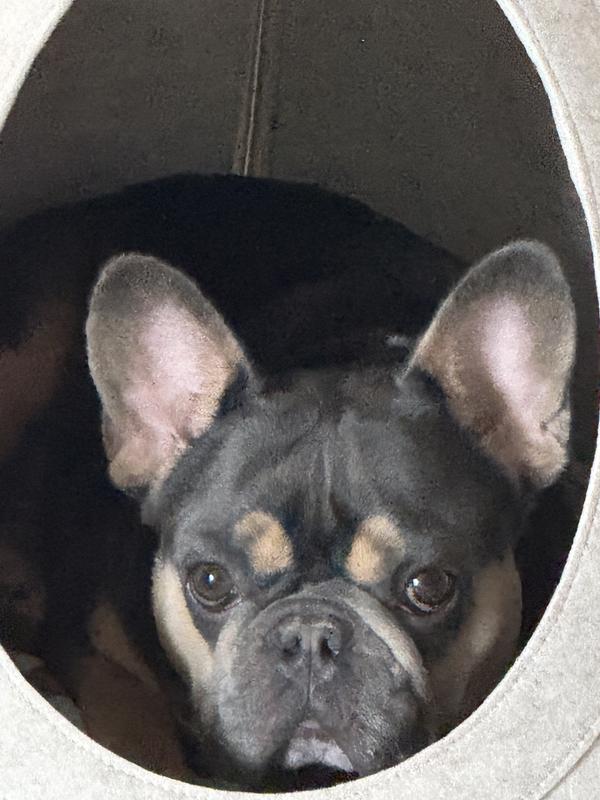 Hanging out in my Teepee