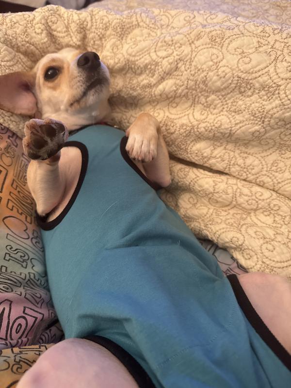 Very nice fit.