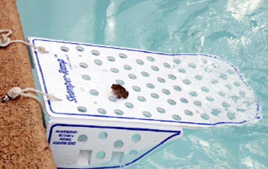 Skamper ramp for above ground outlet pools