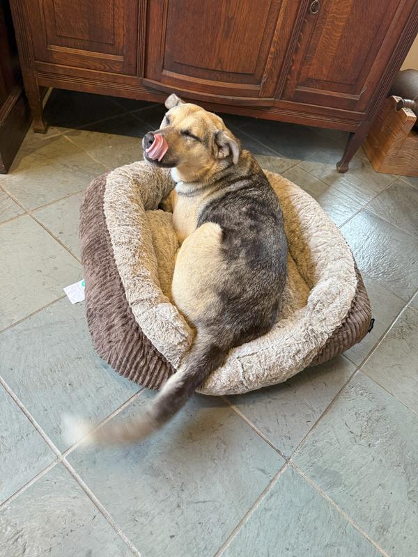 Wagging with pleasure