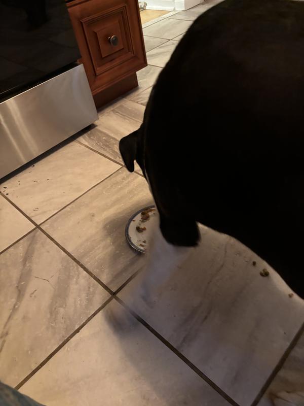 Minnie and Cinnamon ate some as a treat instead of a large bone.