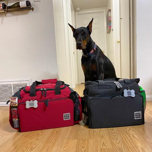 Our Dobie is ready to travel!
