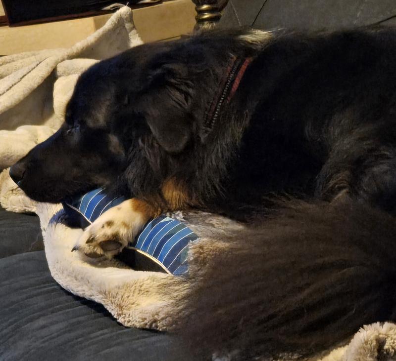 I know that he's testing it