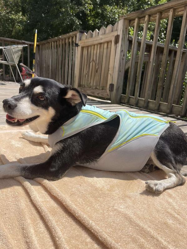 RUFFWEAR Swamp Cooler Zip Dog Vest, Blue Mist, X-Small - Chewy.com