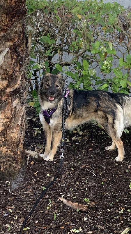 Cute Leila picture just for funzies.