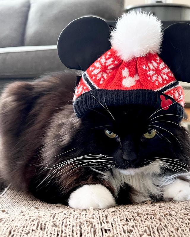 Disney Mickey Mouse Christmas Dog & Cat Knit Hat