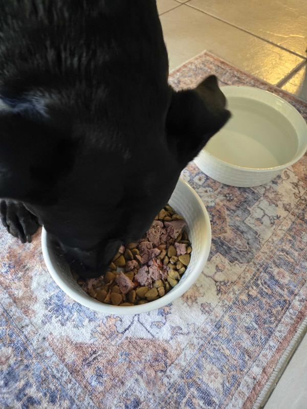 Zero thoughts. Just Freshpet. 🐶🍗