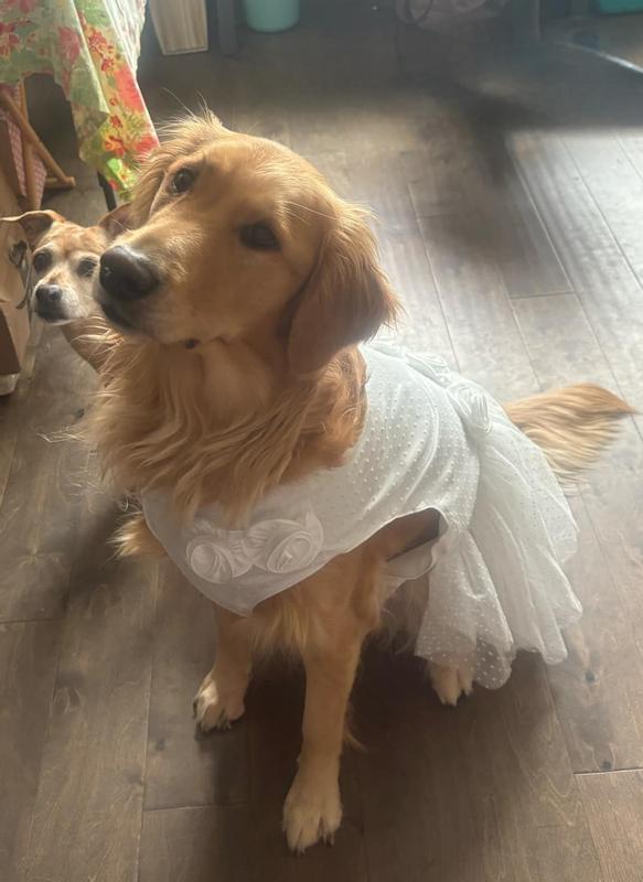 Front/neckline rosettes